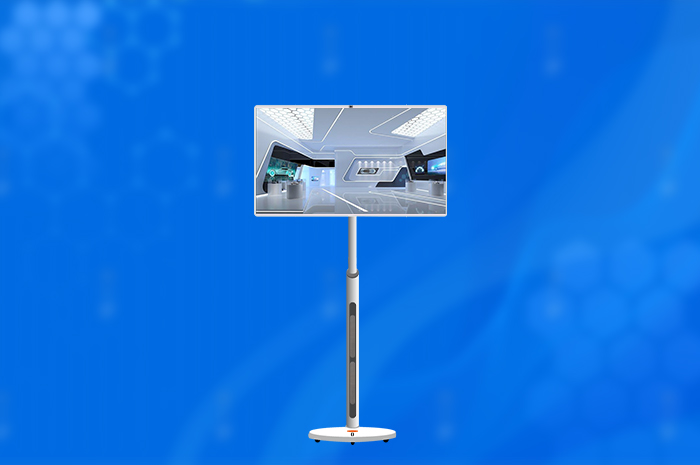 Portable TV - a charming product 